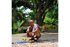 Image Image